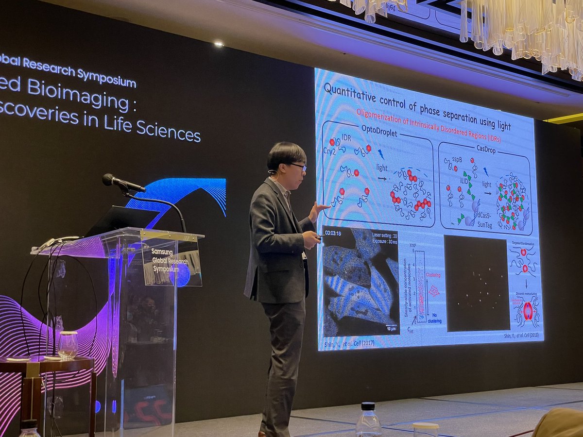 Mary Teruel tweet media