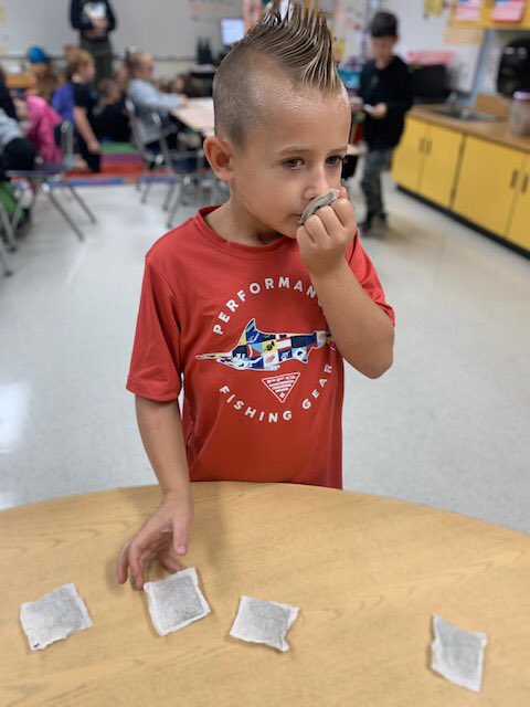It was a batty day for our firsties. Staff from <a href="/airliegardens/">Airlie Gardens</a> came and taught them about echolocation, nocturnal animals, and all things Batty. Special thanks to Island Time Marine for sponsoring this event. <a href="/NewHanoverCoSch/">New Hanover County Schools</a> <a href="/chawkfan91/">JB Kilpatrick</a> <a href="/MrsRossersClass/">Jennifer Rosser</a> <a href="/putnam_katy/">Katy Putnam</a> <a href="/KamiDedrick/">Kami Dedrick</a>