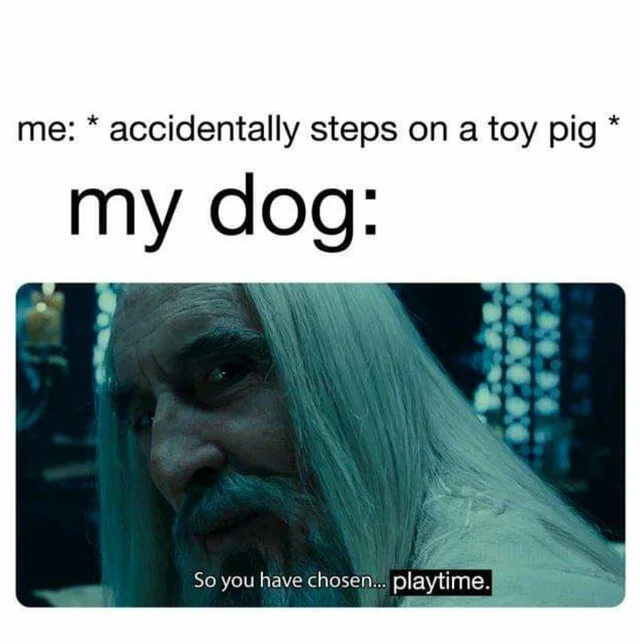 WholesomeMeme's tweet photo. https://t.co/diJrOAAEi0