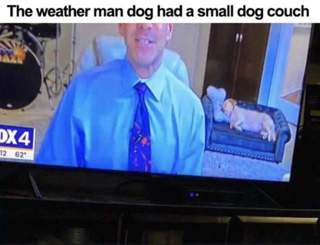 WholesomeMeme's tweet photo. https://t.co/yKVZ6sJ1vP
