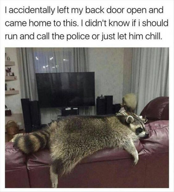 WholesomeMeme's tweet photo. https://t.co/tL8LlKWVjN