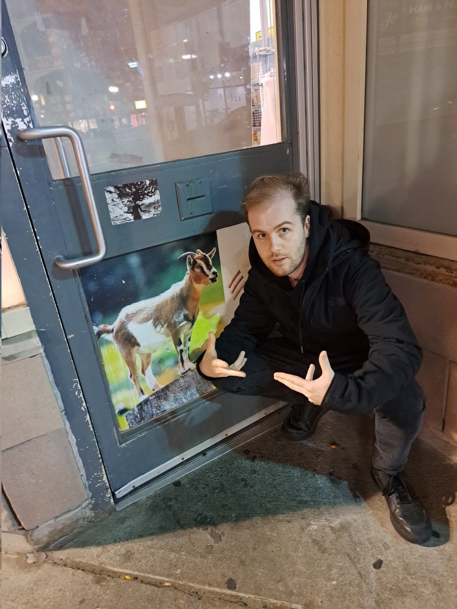 mzl_flac's tweet photo. two goats https://t.co/4BEMBPiznq