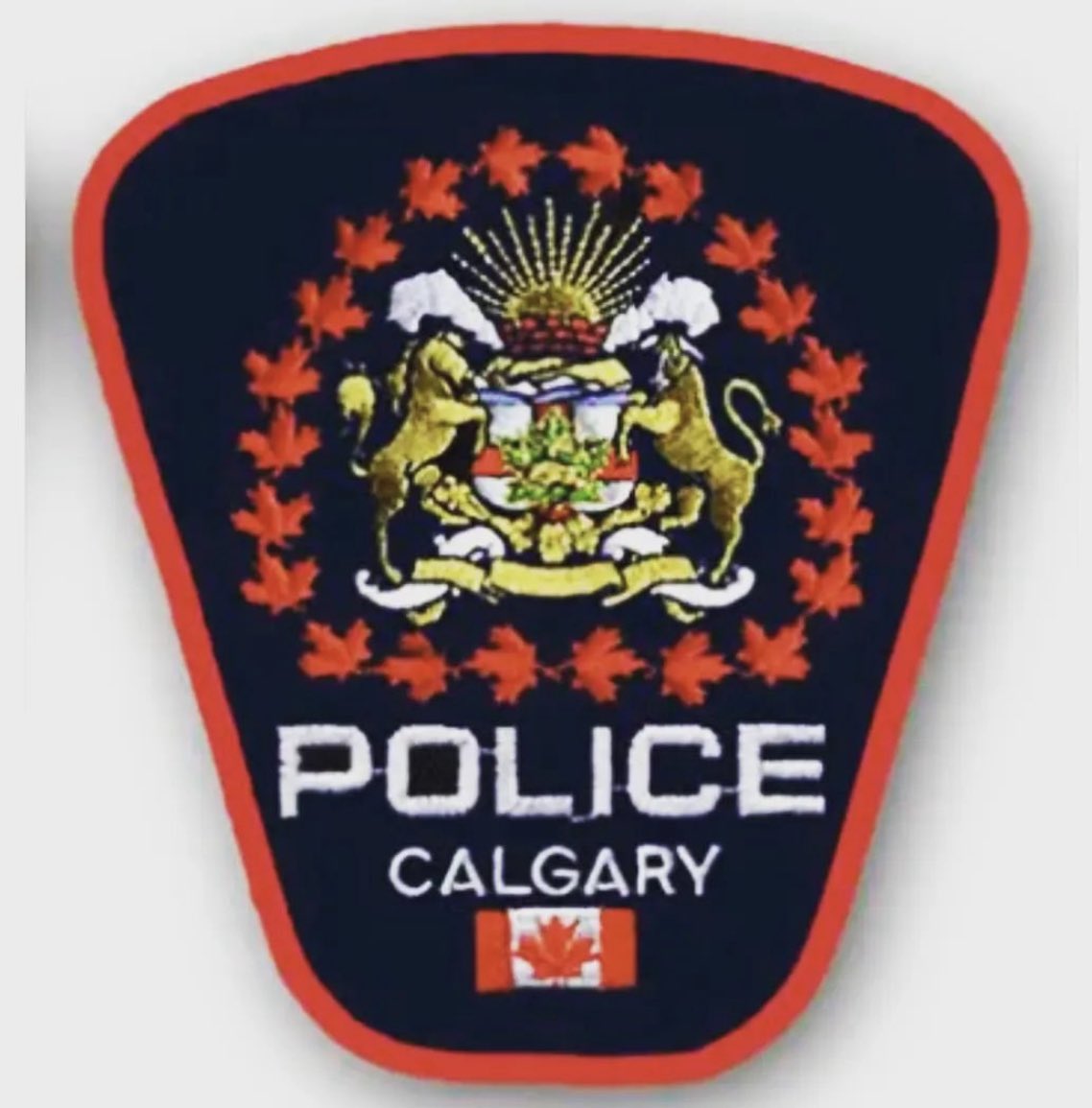 CeremonialAPBC's tweet photo. Our thoughts are with the @CalgaryPolice officer who was shot & injured overnight while responding to a call about a suspicious vehicle. We wish the officer a speedy and healthy recovery in all respects.
#calgary #lawenforcement #backtheblue https://t.co/D7C1v4zC3Z