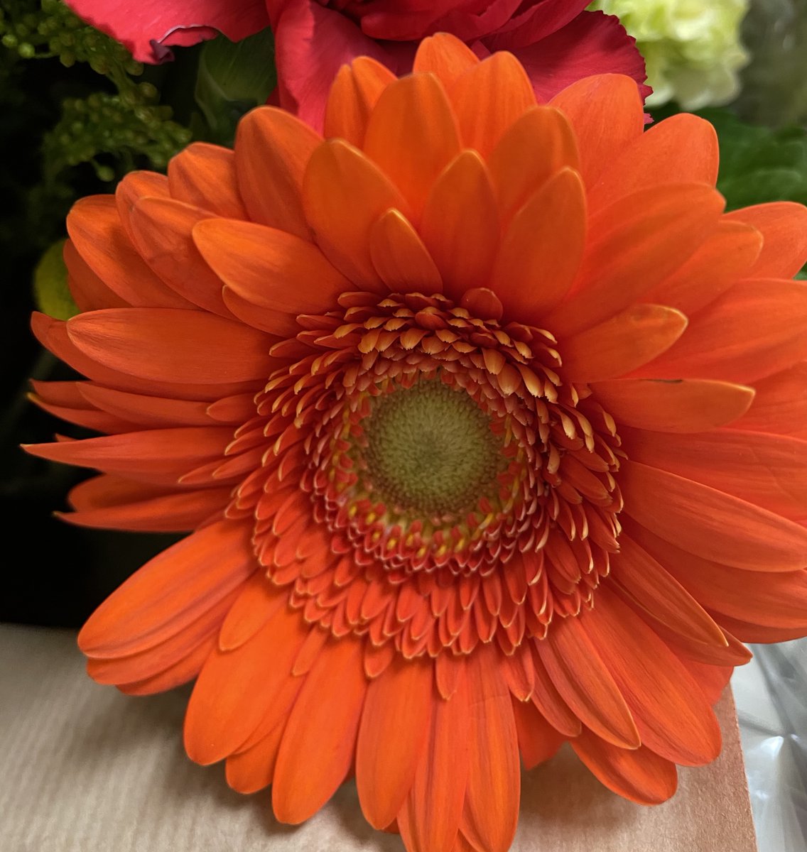AimeeR2022's tweet photo. #MacroMonday Love this colour! Start your new week with a smile! “The secret of happiness is not doing what one likes, but in liking what one does.”-J. Barry
Whatever you do today - do it with love.📷me https://t.co/jzan9hbXHZ