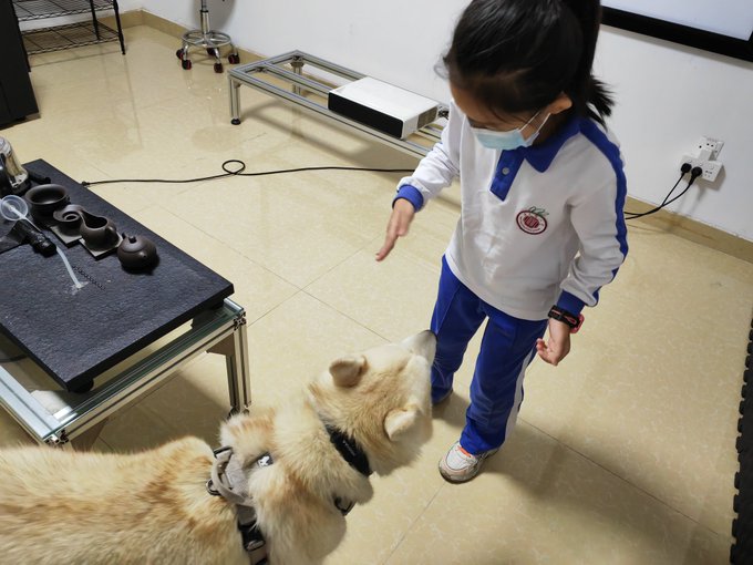 Uhhhhhh I'm an awful person. I needed some work done on a bunch of leaky windows and the place I called