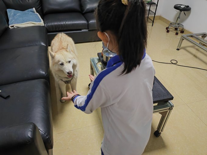 Uhhhhhh I'm an awful person. I needed some work done on a bunch of leaky windows and the place I called