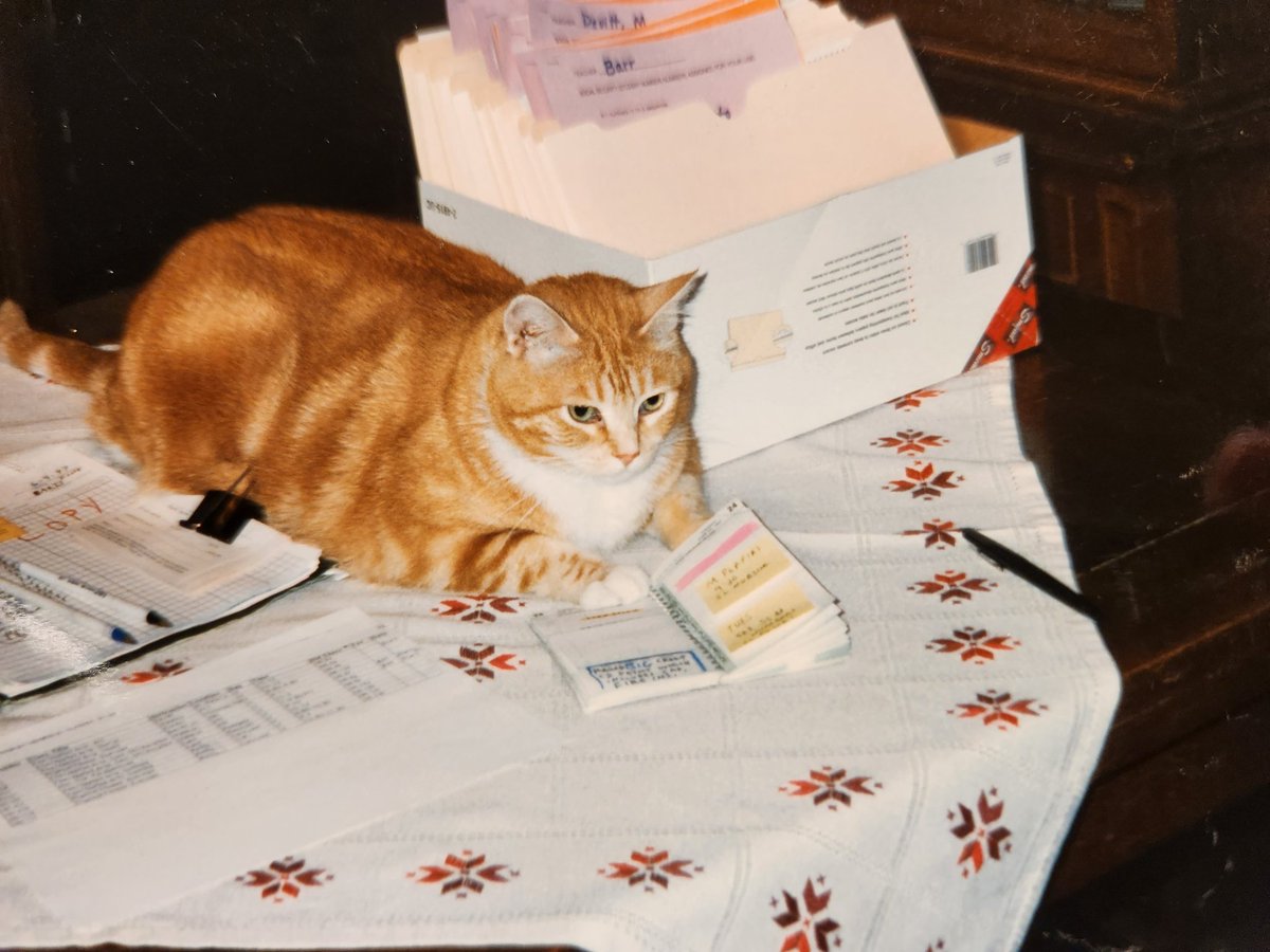 Checking his day planner to see if he can pencil you in. <a href="/catswithjobs/">bean</a>