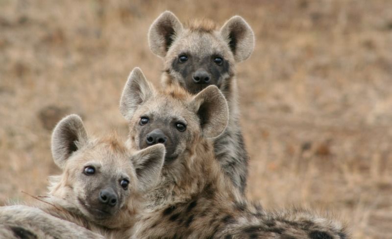 HourlyYeen's tweet photo. https://t.co/GXKUrPXjNs