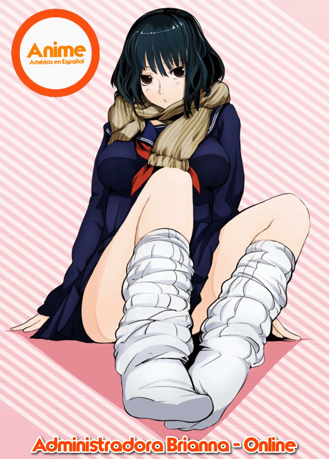 Аниме фут Socks