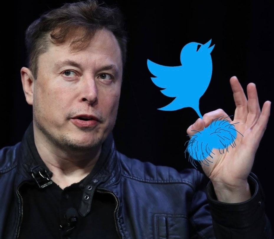 pmitch1978's tweet photo. @elonmusk https://t.co/n11BuRxjIr