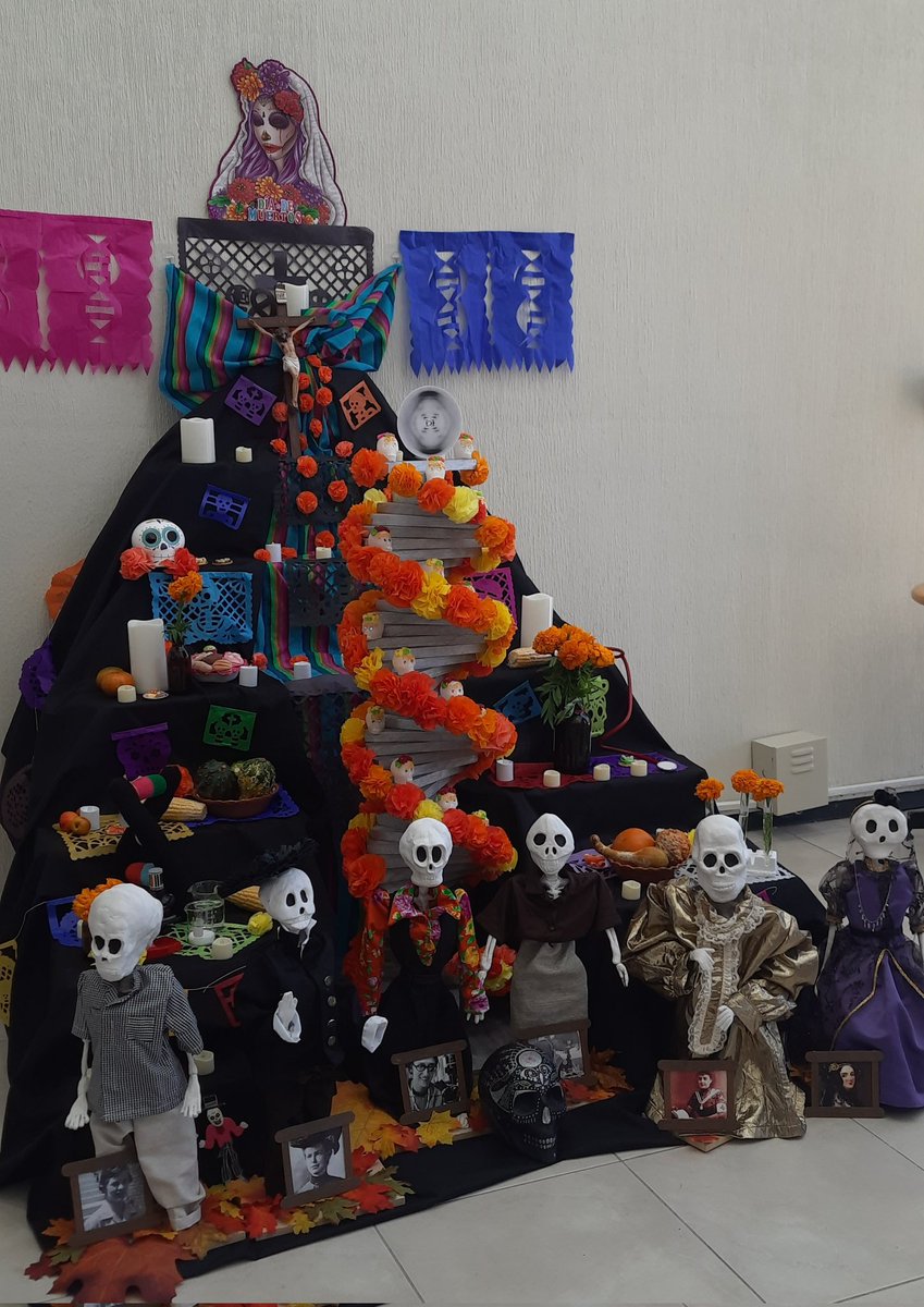 Annhled6's tweet photo. Lo que pasa cuando les chiques de los plumones se juntan... 
Aparte de ciencia, hacemos cosas bonitas y festivas 🎉
Celebrando nuestras raíces y el poder compartir y hacer juntes lo que nos hace felices💜
Amamos aquí 🥰
#RegGenoLab 2022
@LupusRgmx 
@AleMedinaRivera https://t.co/o2RDBs53NV