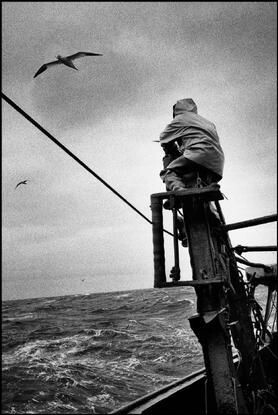 literlandweb1's tweet image. &quot;Tú sabes bien que en mí
no muere la esperanza
que los años en mí
no son hojas, son flores,
que nunca soy pasado,
sino siempre futuro&quot;.
   
Rafael Alberti