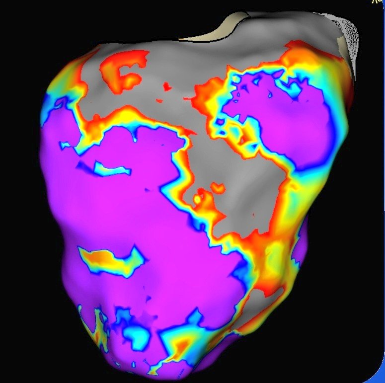 Josh Shriver tweet media