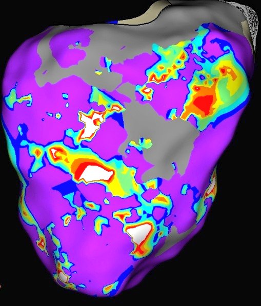 Josh Shriver tweet media