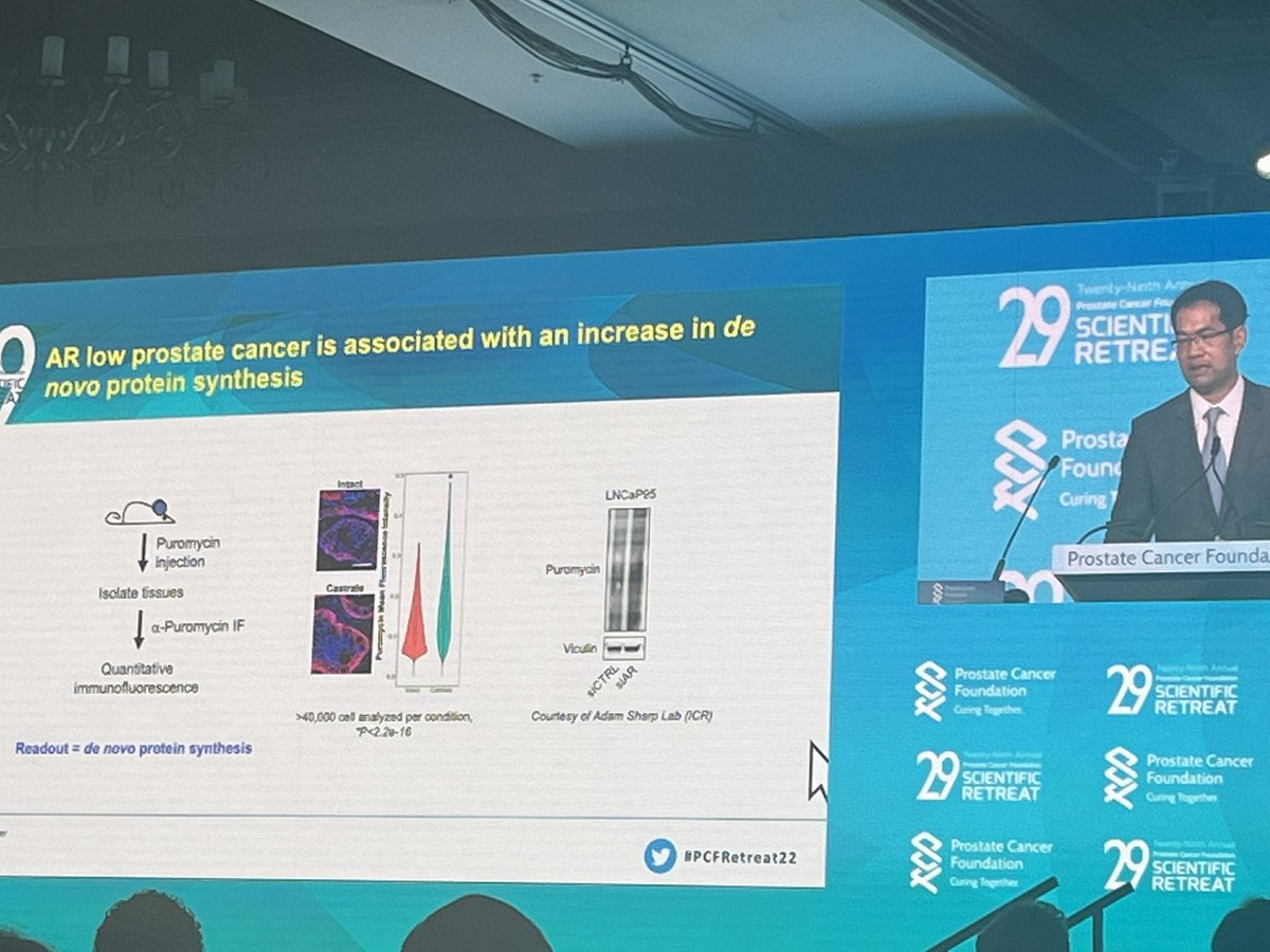 <a href="/HsiehLab/">Hsieh Lab</a> giving an elegant talk on AR regulation of druggable regulons in Pca #PCFRetreat22 <a href="/PCF_Science/">PCF Science</a>