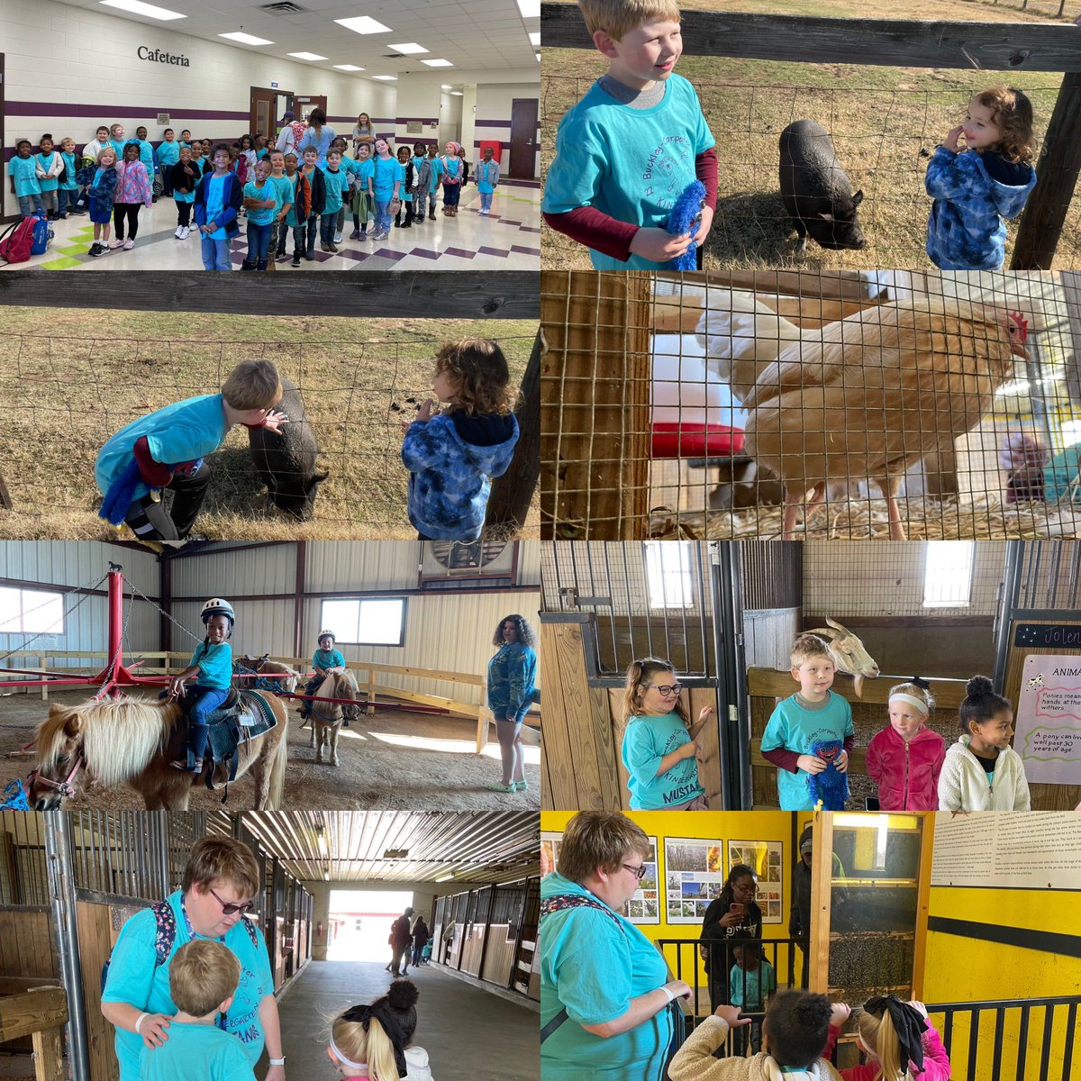 BCESMustangCity's tweet photo. Our kindergarteners had a wonderful time on their field trip to Falcon Farms! @Leigh_Anne0712 @MandyBCollins @JennieKrueger10 @YolondaSurratt #MsWhite @Supt_Hamlett @fayettewarehigh https://t.co/eetnqPbKoG