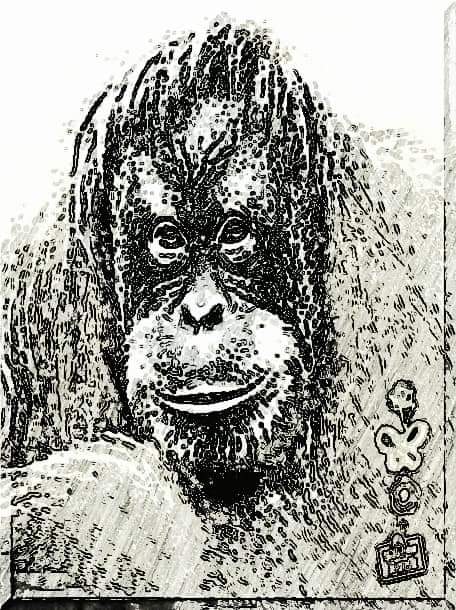 주사파 빨갱이 범죄자 박주민.이놈이 허위사실 유포죄 없애자!~~어둠의 대한민국~~희안하다 생긴게 북괴 인민군 같이 생겼다 이놈이 대한민국 근간을 흔들고 있다.