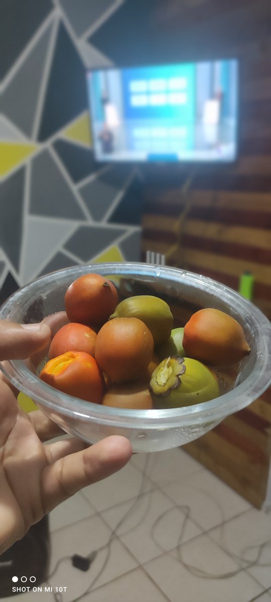 Aqui se assiste ao Bolsonaro atropelar o Lula dessa forma pupunha