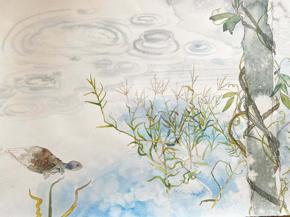 Explore the intersection of art and science through Vicki Luke's 'Gilgai - echo of an ideal world'. Much like these rich wetland systems, the longer you view Vicki’s artworks, the more things become apparent. View here: ow.ly/3ThY50LiJF1