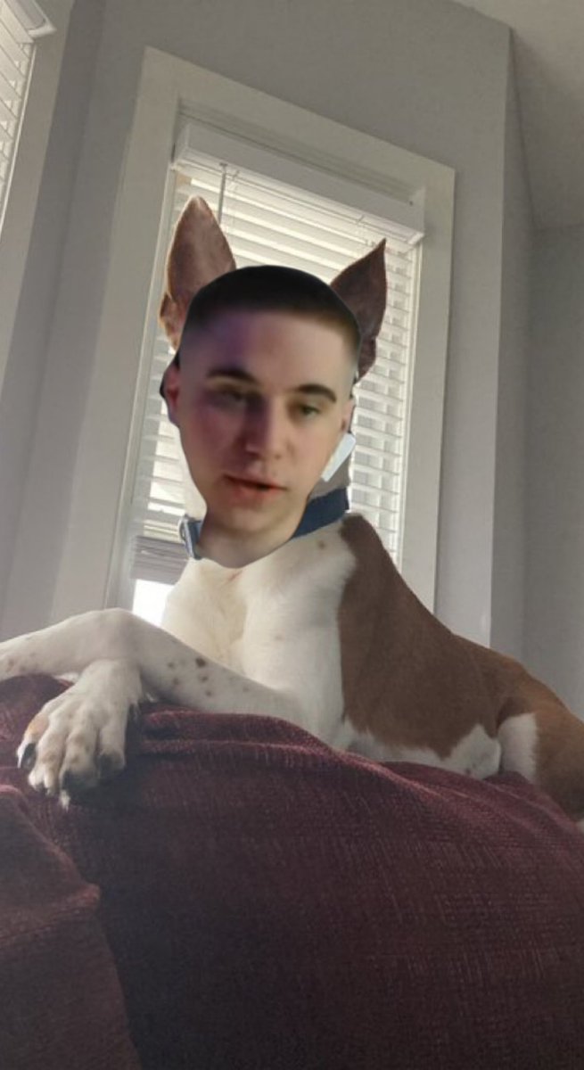 Not Vince Marrow tweet media