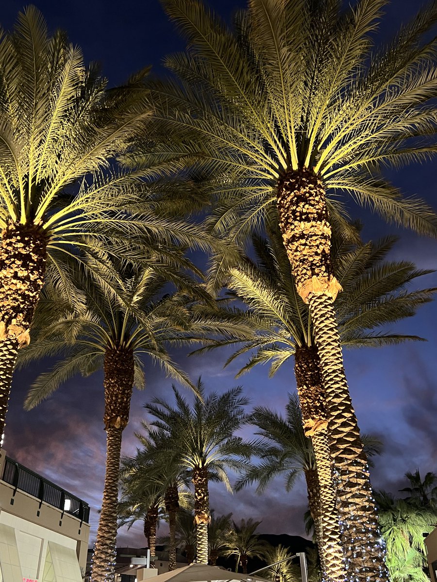 A great night in Palm desert