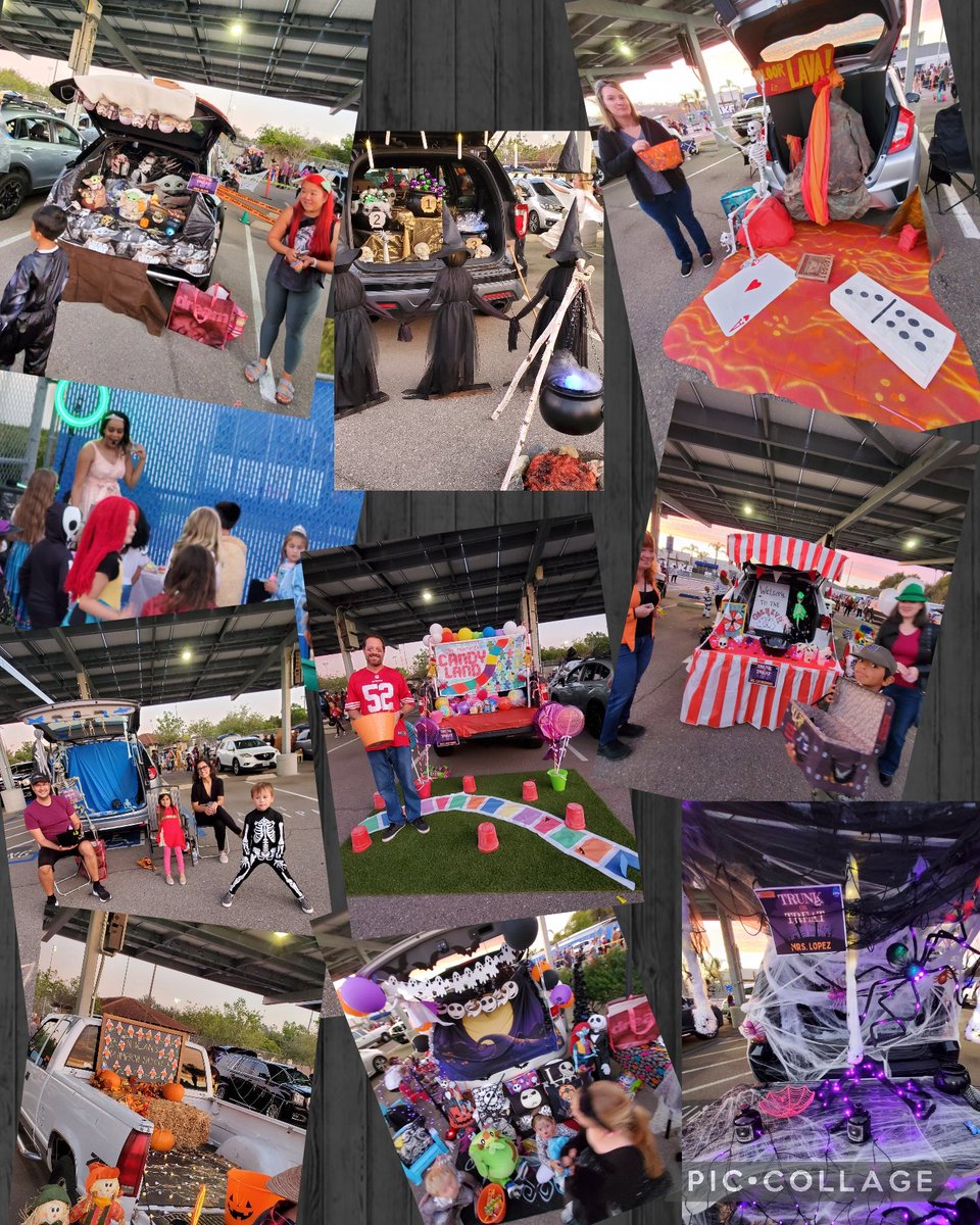 Lake Elementary School ~ Home of the Dolphins! tweet media