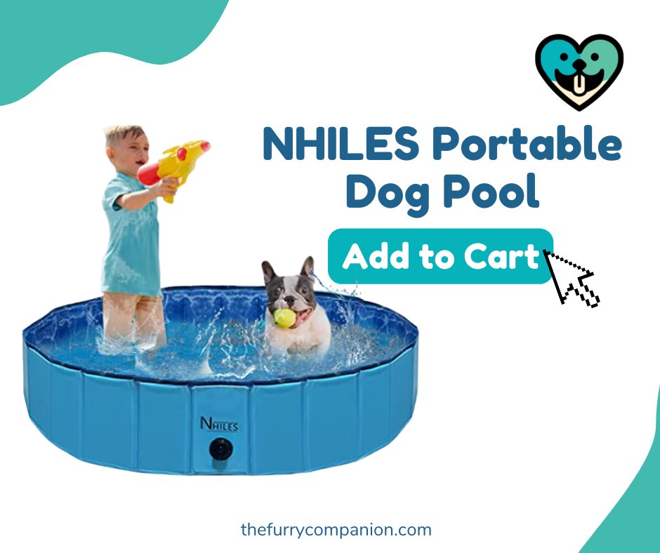 the_furries1's tweet image. Does your furry friend love taking a dip in the pool? Well, it’s easier now more than ever to take a swim with the NHILES Portable Dog Pool gifts for pups and its easy pop up.

For Christmas gift ideas for your dogs: ecs.page.link/4gwHm

#TheFurryCompanion #PortablePool