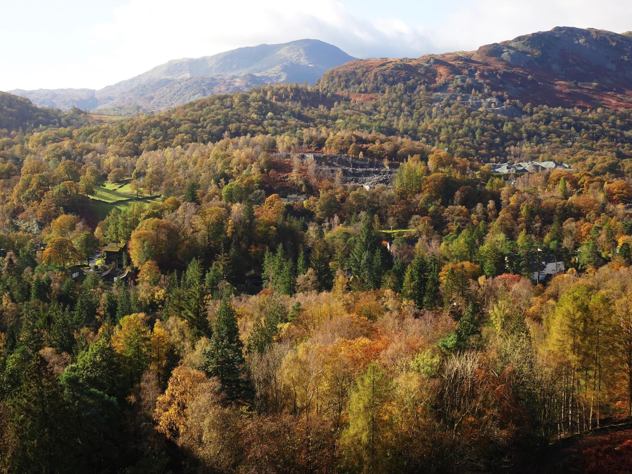 Ed Henderson on Twitter "Lots of trees in this view of Elterwater in