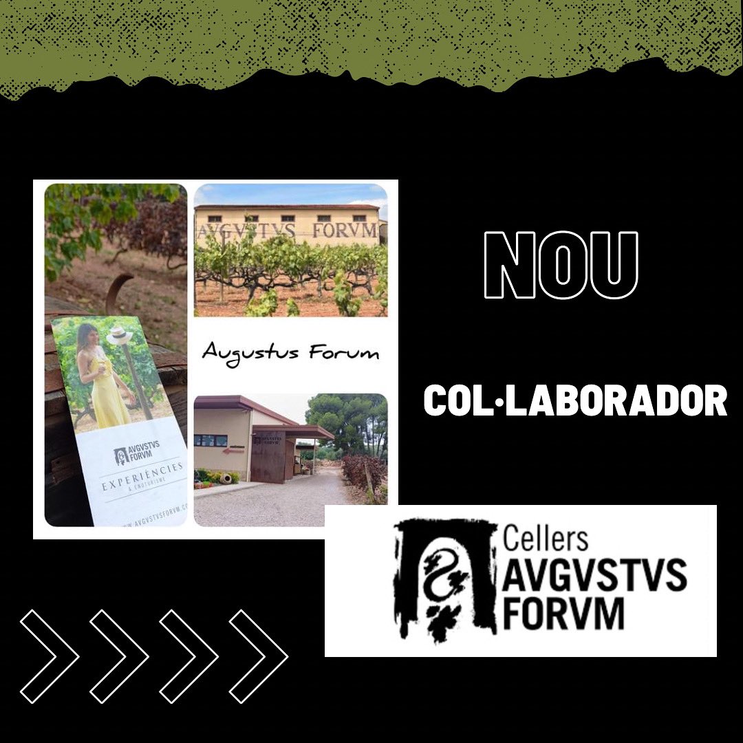 La Mitja del Vendrell tweet media