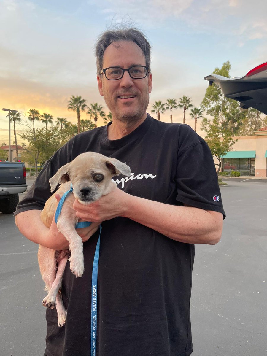 One eye Lanai.  Senior rescue from Downey kill shelter and newest member of the Walker household.