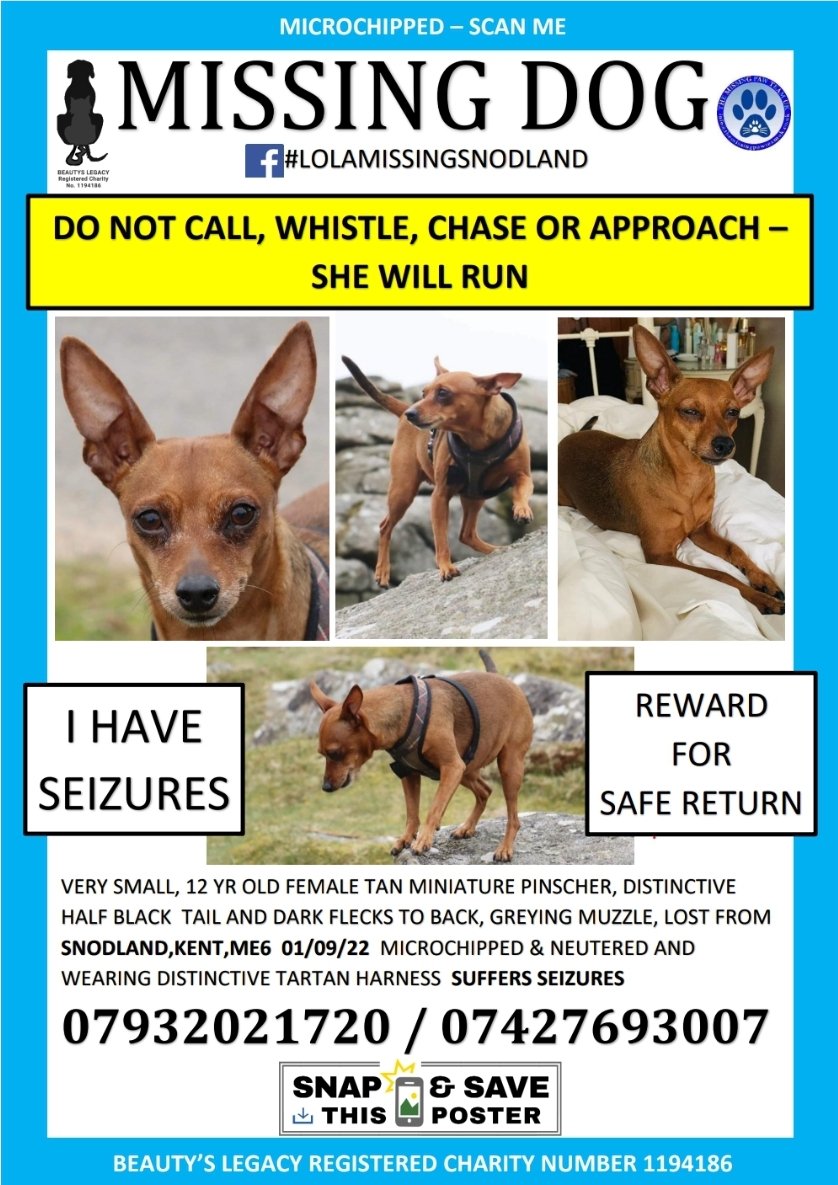 beautys_legacy's tweet photo. HAS SEIZURES - cant stress how URGENT this one is. Tiny Lola has #seizures, we need  help to search the lakes. #diving teams being approached.
#snodland #KENT @KMTV_Kent @itvmeridian @BBCSouthNews @NickFerrariLBC @RSPCALeybourne @scubadivingmag #lolamissingsnodland @GMB https://t.co/cfxWzRA6Ud