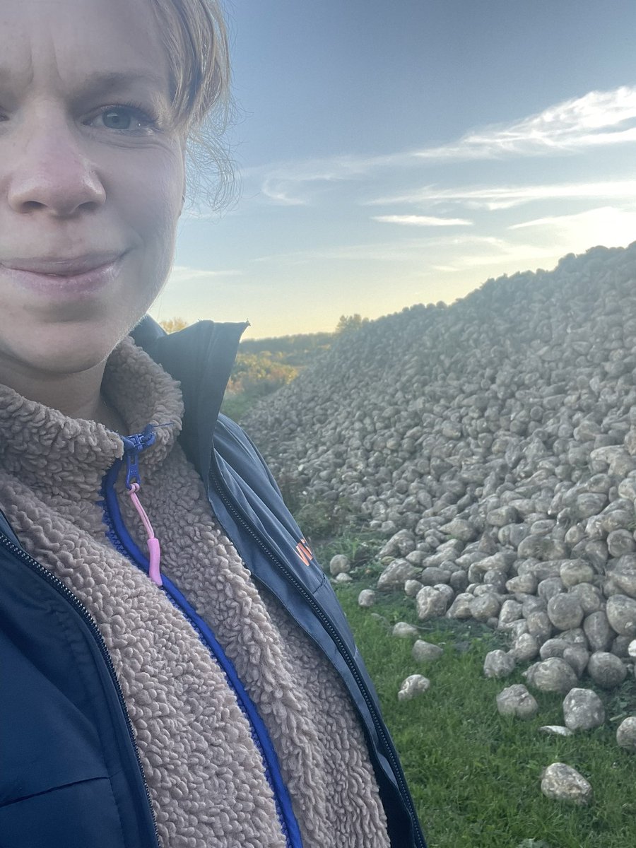 Iben Krog tweet media