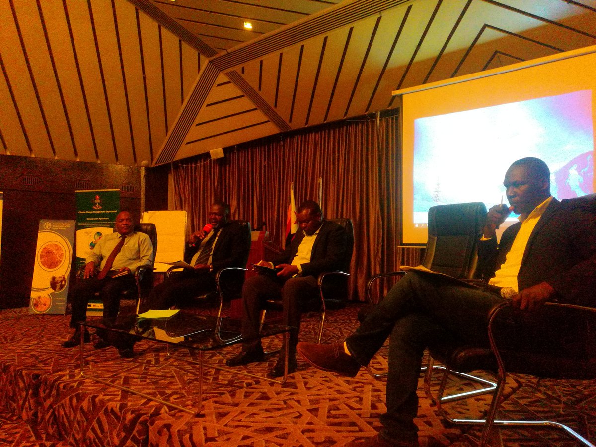 EcoEthicsZimbabwe tweet media