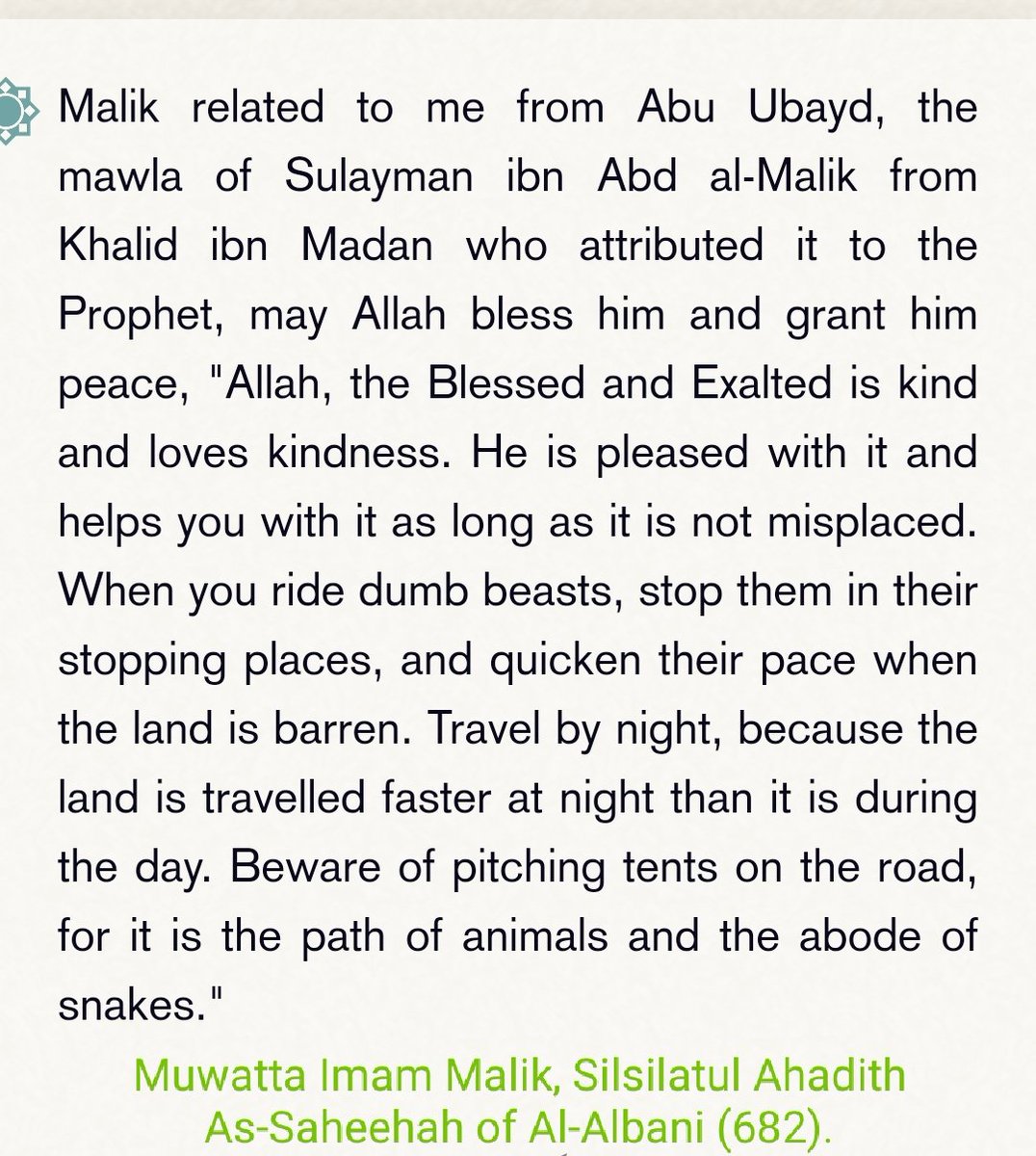The Conduct Of Prophet Muhammad ﷺ With Animals... [Thread] 🧵 ...