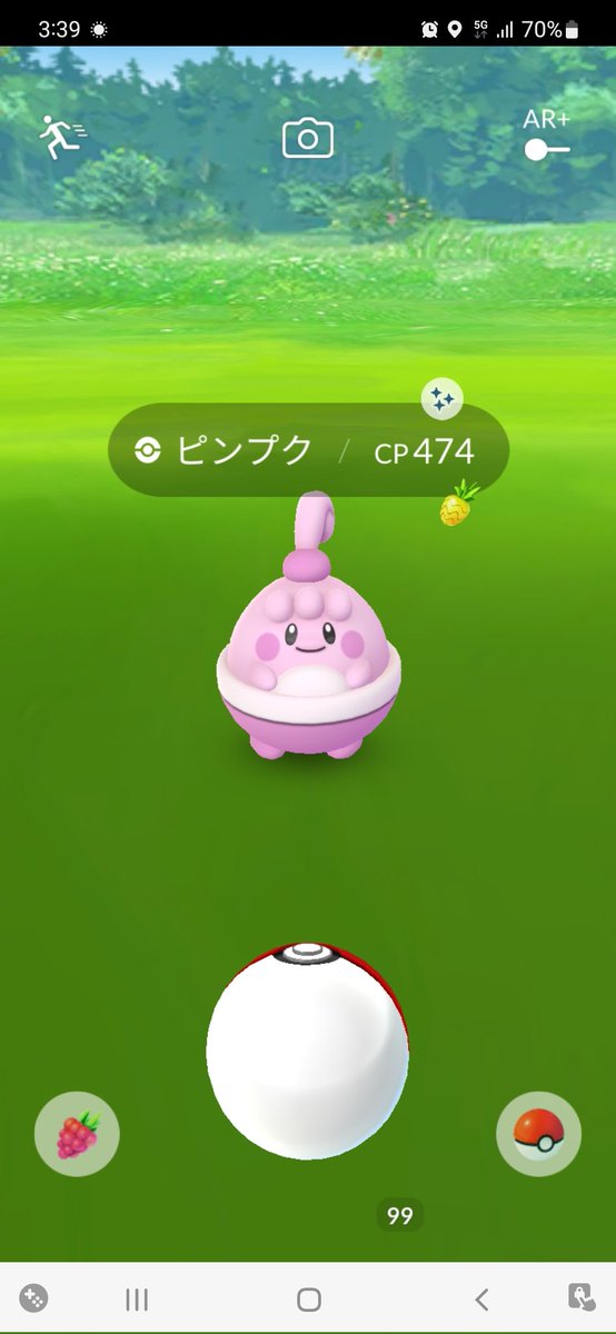 本格派ま ムゲンダイナ ピンプク Groupevocaldefonsorbes Fr