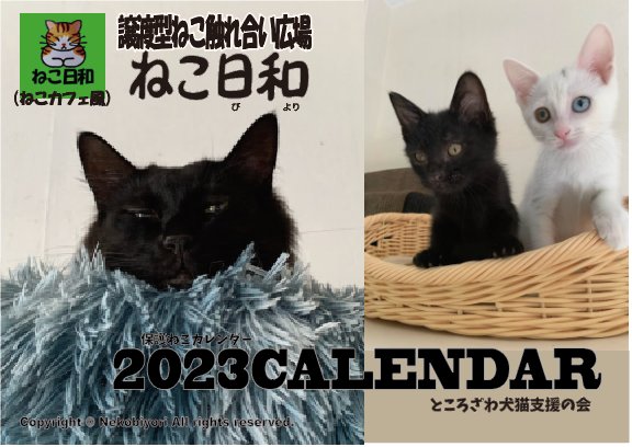 ねこ日和 所沢 Nekobiyori3 Twitter