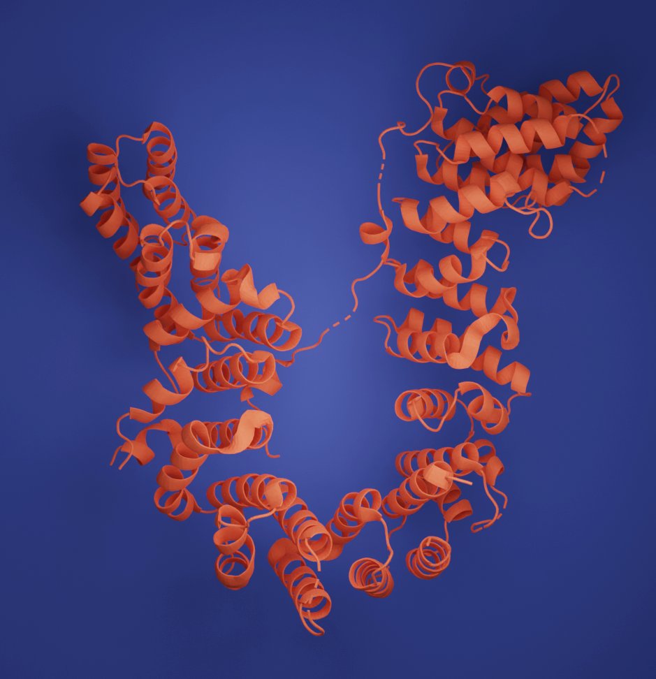 at_ray_o's tweet photo. I followed @bradyajohnston's #blender tutorial to render the #condensin CAP-H CAP-G complex. I'm very very impressed with the tutorial. I haven't done any 3d render in blender before. Maya was long time back too, so it's nice to make 3d art again. https://t.co/SituIqeBL7