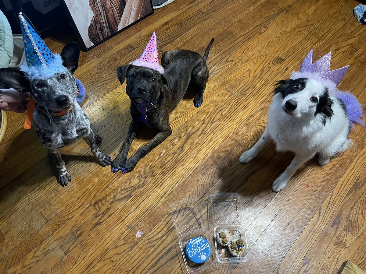 emilyxbriggs's tweet photo. happy first birthday harweewee 💓👻 https://t.co/gbBzaJdQdV