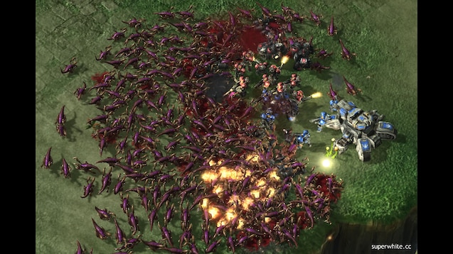 Immunolol's tweet photo. Platelets are tiny, but it's all about good old Zerg Rush. RBCs are welcome to join! Read:
Platelet-derived TLT-1 promotes tumor progression by suppressing CD8  T cells https://t.co/N8DQWrTc02 https://t.co/kzz9w8ejGX