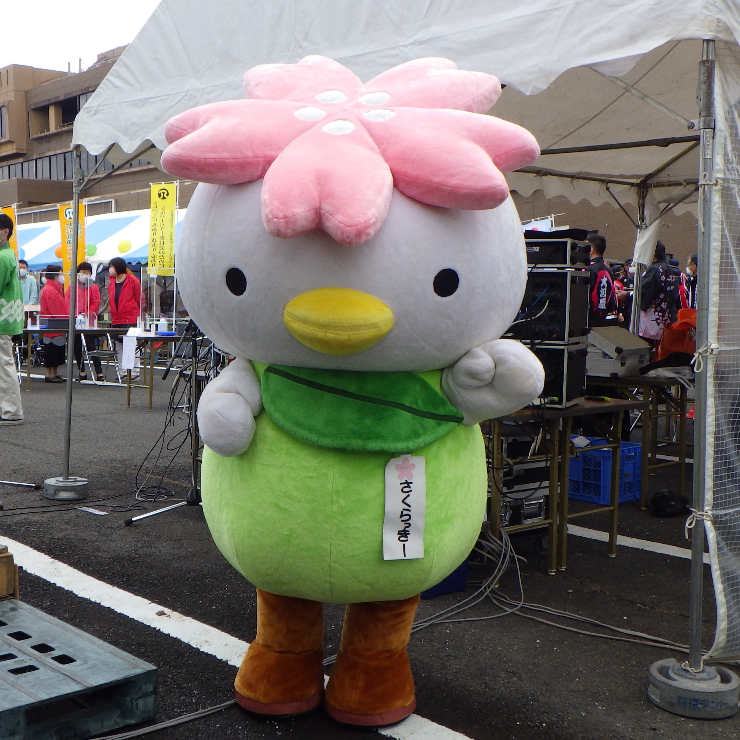さくらっきー Sakulucky Okbk Twitter