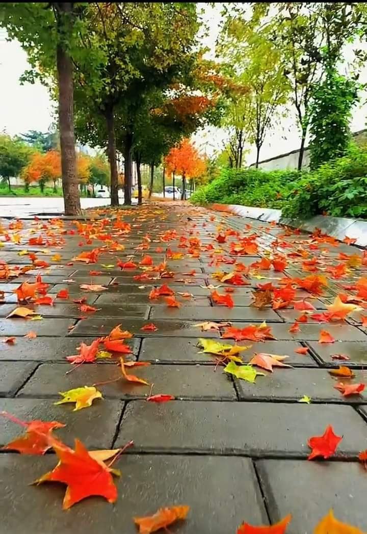 🥰🥀
تجارب الحياة وعقلك الراجح يعطي تنبؤاتك نسبة نجاح تصل الى 98% , ومهما جادلك المجادلون ونكرك الكذابون فثق أن الطبعية البشرية وتواريخ الزمن وحوادثه تعيد نفسها أحيانا .. #صباح_الخيرᅠ