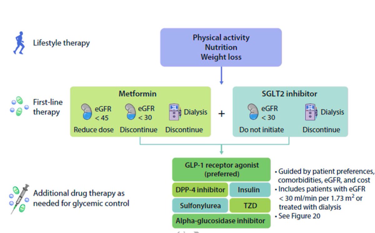 Overcoming barriers to implementing new guideline-directed therapies for #CKD #KDIGO treatment algorithm for selecting antihyperglycemic drugs for patients with #T2DM and #CKD #GDMT #SGLT2i academic.oup.com/ndt/advance-ar… @denisfouque1 @NDTsocial @ESC_Journals @DrMarthaGulati