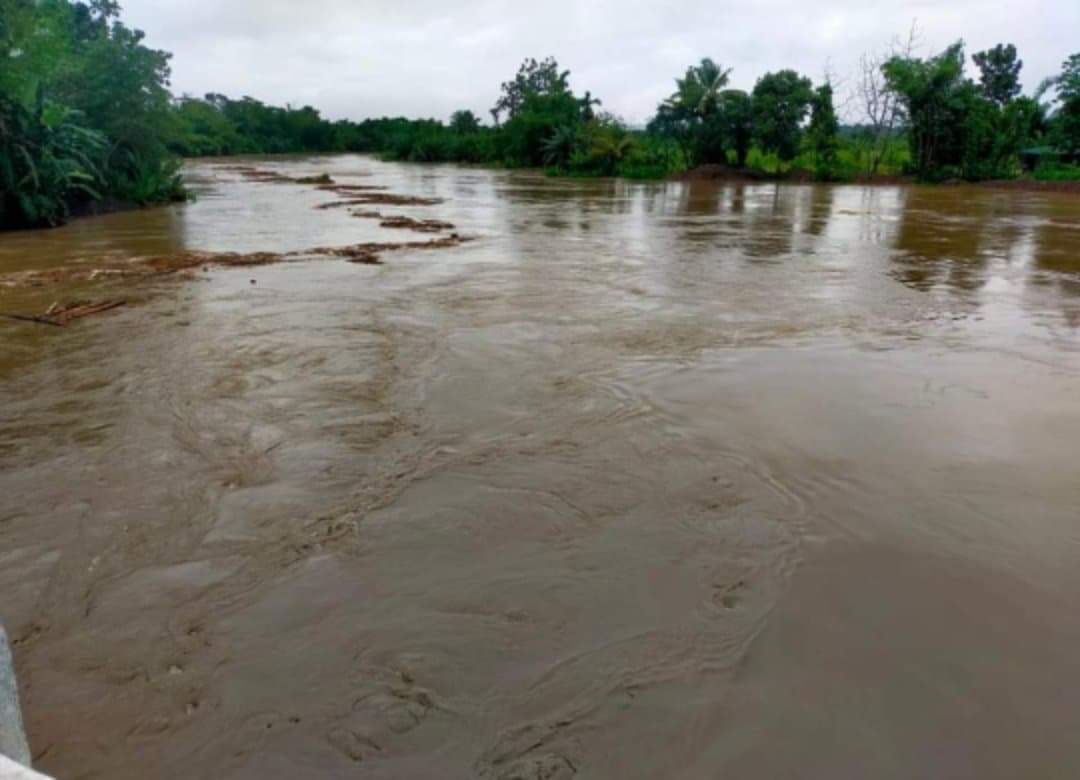 Atin_Panay's tweet image. A&apos;tintion!!!

A&apos;tin panay is accepting any form of donations (cash, goods, clothes, medicine, first aid kits, etc) that will help our affected kababayans.
Kapit-bisig tayo mga Kaps!

Gcash:0920 6180 811 
Ronalyn Malaga 
For good and others. Please drop at MDRRM CAPIZ.