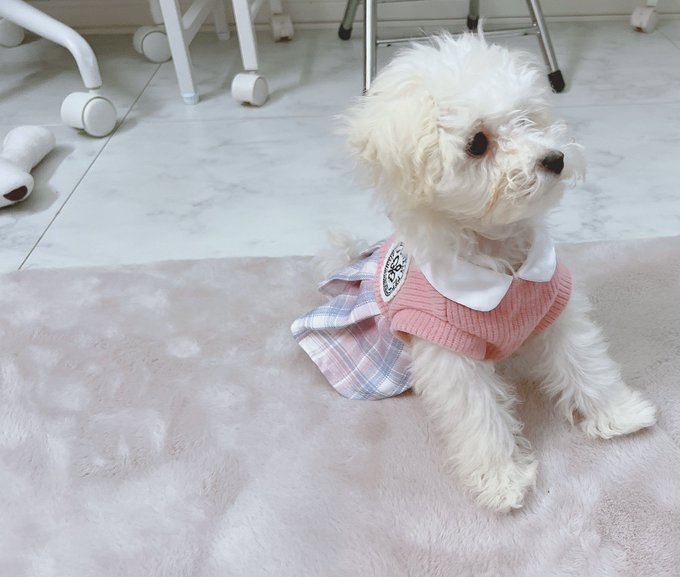 Twitterのコスプレ画像36