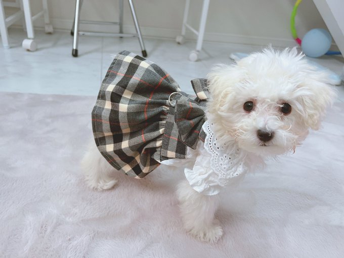 Twitterのコスプレ画像35