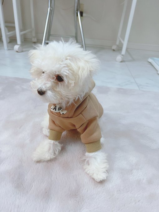 Twitterのコスプレ画像37