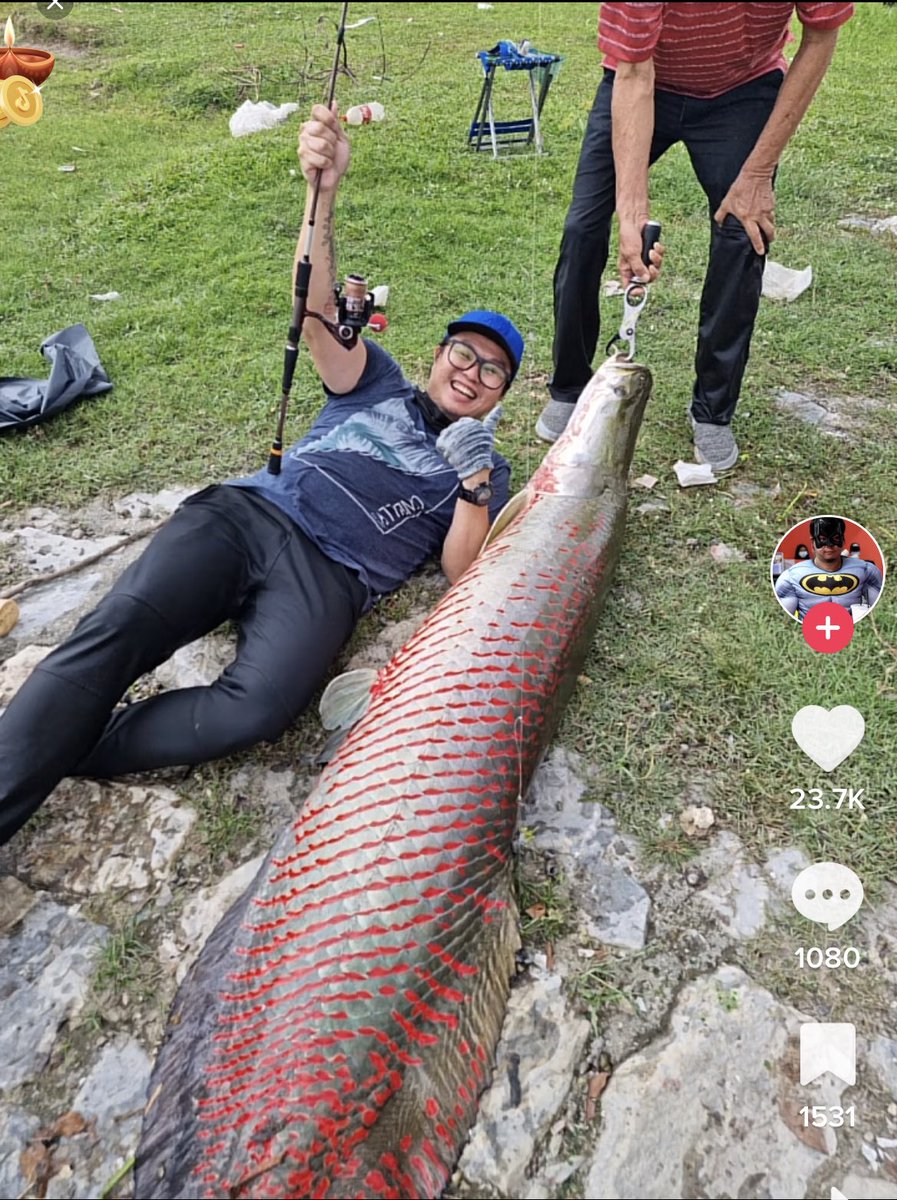 adhanazrx's tweet photo. Ada orang dapat Arapaima kt Tasik Klang wei😂 https://t.co/AHavXMUprk