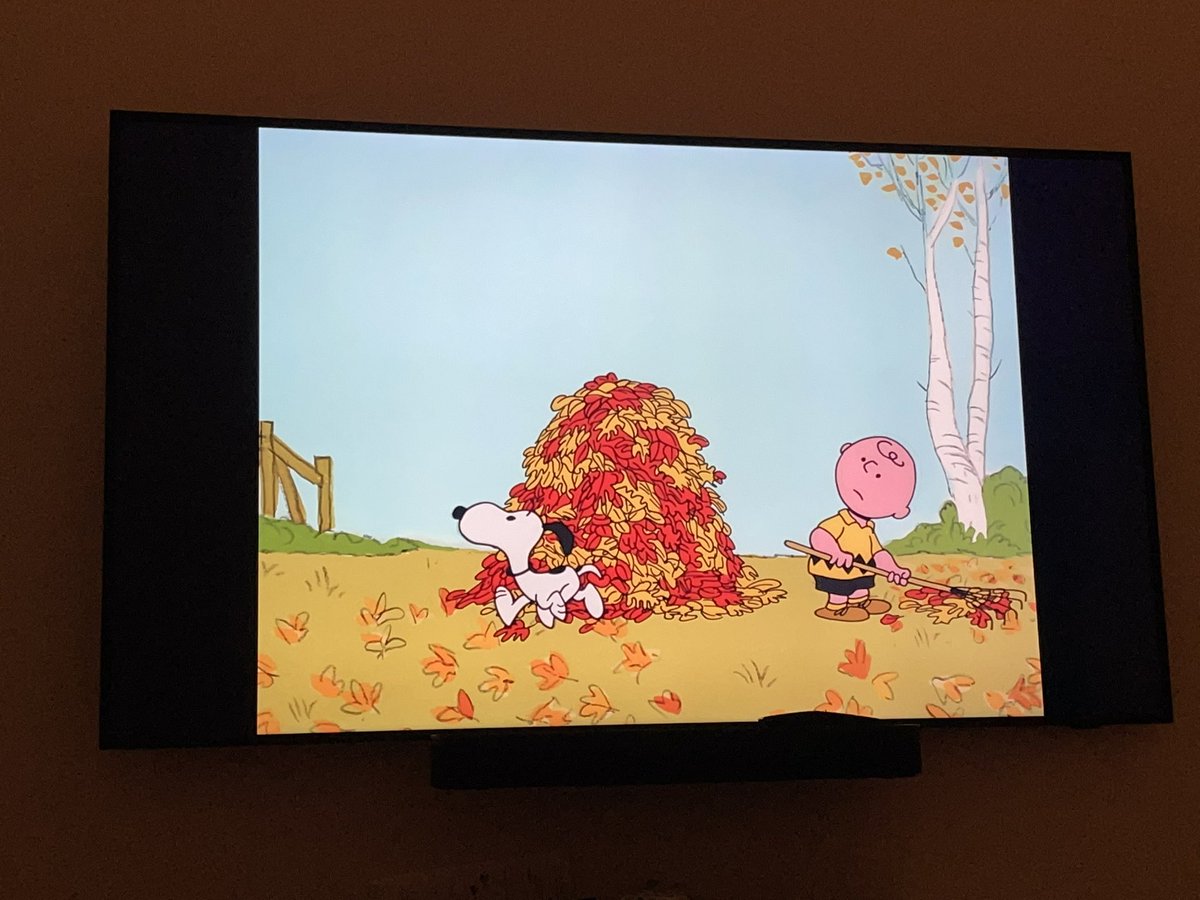 SusanSearchPro's tweet image. #CurrentMood