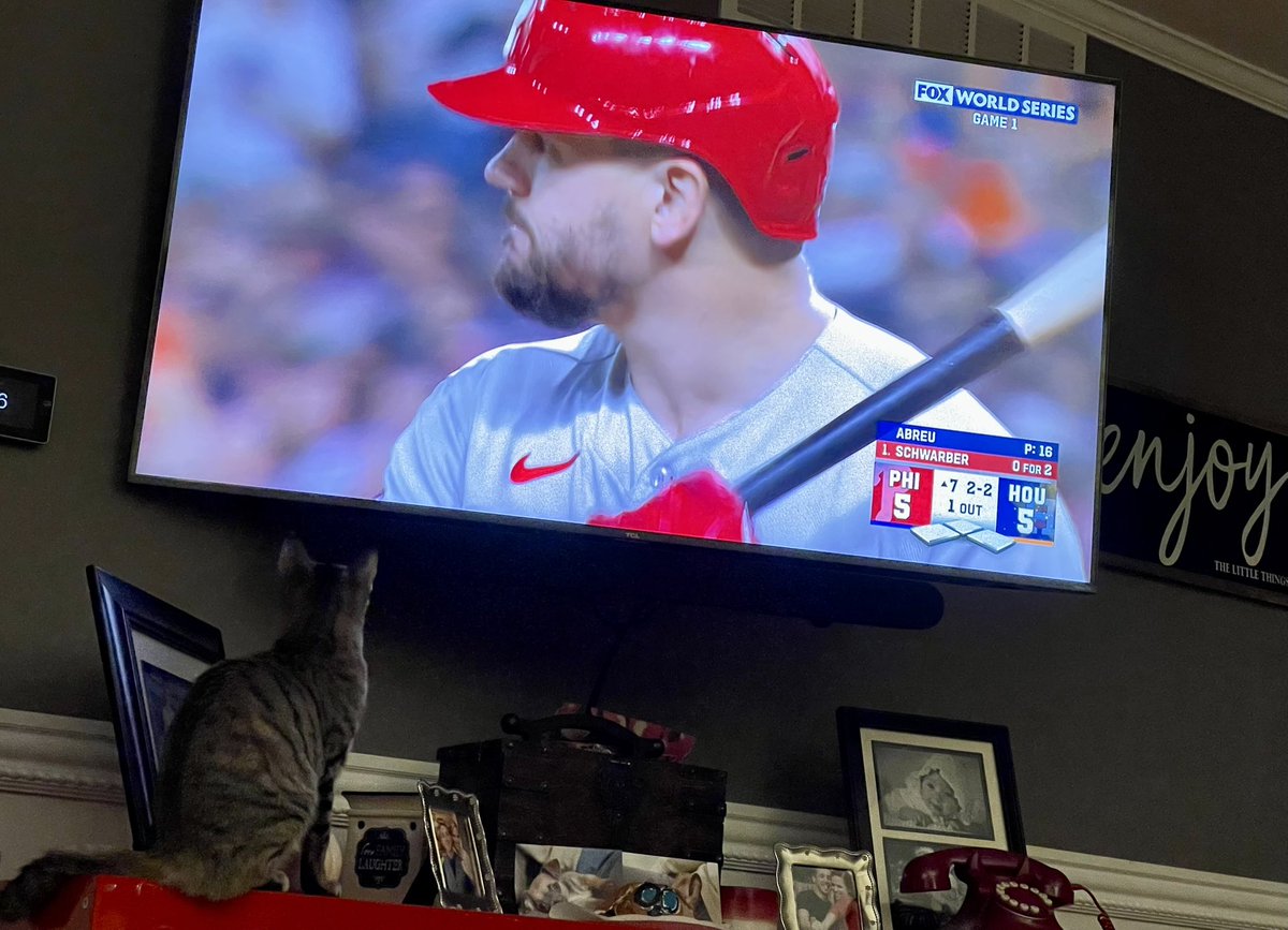 Sarah40389553's tweet photo. @kschwarb12 My foster kitten is a HUGE fan! Have any room in your heart for a kitten? #SchwarberKitten #GoPhils #RescueKittens https://t.co/hJbbNcLus8