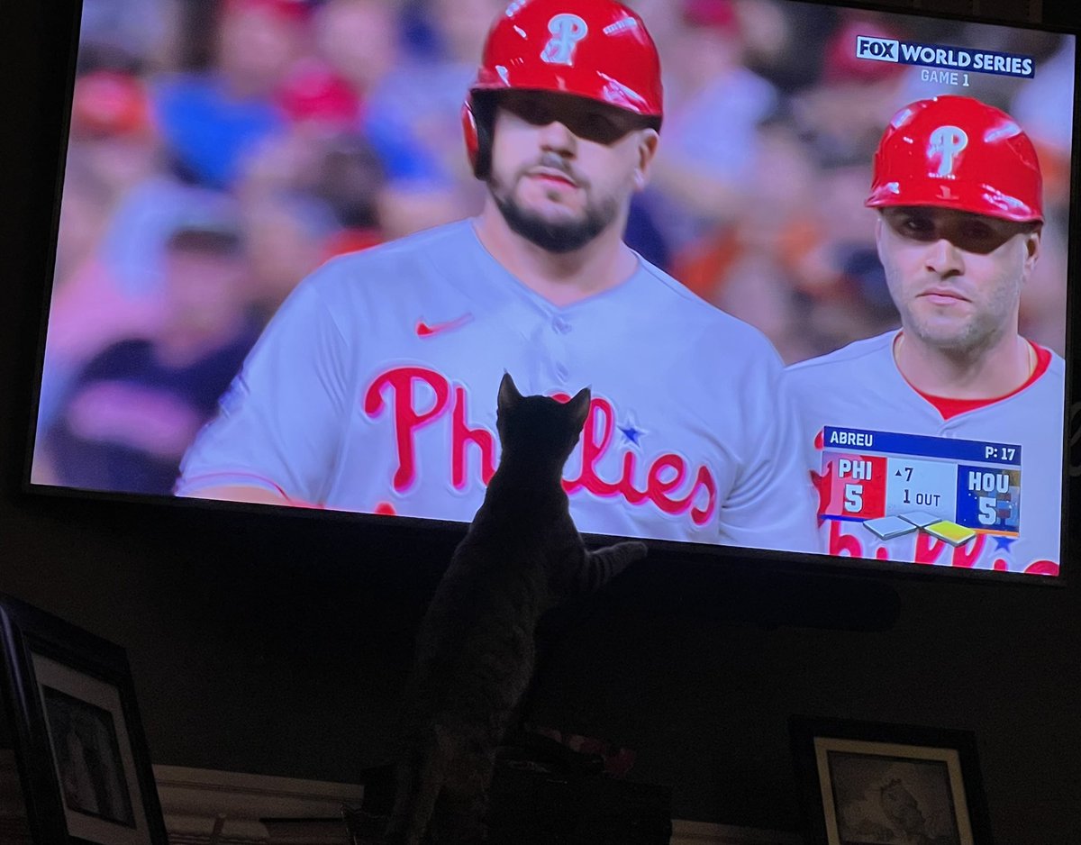 Sarah40389553's tweet photo. @kschwarb12 My foster kitten is a HUGE fan! Have any room in your heart for a kitten? #SchwarberKitten #GoPhils #RescueKittens https://t.co/hJbbNcLus8